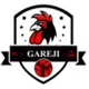 /images/football/team/70c0ed0b8d96e44bc512210395d5bbd6.webp!h80
