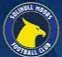 /images/football/team/7212608297c4b0dd5144fa5375993961.webp!h80