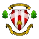 /images/football/team/733efd39654cebeae9924187543cf17e.webp!h80