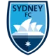 /images/football/team/73846b93d2c8090dff7051184a581b34.webp!h80