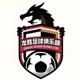 /images/football/team/755312cff78c1074bf2362bb5ffc31ec.webp!h80