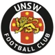 /images/football/team/75bf136c336015d3adb291a238ea039e.webp!h80