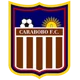 /images/football/team/7b4bf20f67bd2d8dd86d9a756296c64b.webp!h80