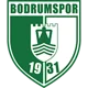 /images/football/team/7d20f576c8ba9c1a0cacceb0aff2b9cd.webp!h80