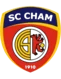 /images/football/team/7d6ec7d470d58a11782d7063fa4af5f4.webp!h80