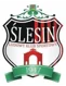 /images/football/team/7e92513e0218d9253a5ec16fb0581553.webp!h80