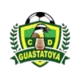 /images/football/team/8183261a2c4e958e3e339525a30e754c.webp!h80