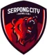 /images/football/team/8619cb91ada1cd23d711436b81e1cf25.webp!h80