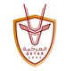 /images/football/team/86dbcc07171bdf7cc9f39337db4d545a.webp!h80