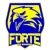 Forte FC Youth