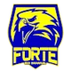 Forte FC Youth
