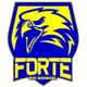 /images/football/team/96e47a5e70d33dd721893d93591dcc5d.webp!h80