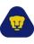 Pumas UNAM Youth