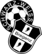 /images/football/team/996590571a657e9ca2cfb9f0c88b4a19.webp!h80