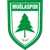 /images/football/team/999763a4266117929192ca5b348a2537.webp!h50