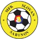 /images/football/team/9b16c4ae6cade6afe76146bc021d0a2c.webp!h80