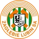 /images/football/team/9d70c0303c9942dc0be30cc7e1fe4673.webp!h80