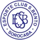 /images/football/team/a19e1d03326498ea76114666313525ea.webp!h80