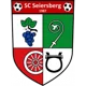 /images/football/team/a1e1abce2ba59ff5c58b4ccbeb6db63b.webp!h80