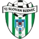 /images/football/team/a483dcd35c028d133b04314592353389.webp!h80