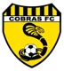 /images/football/team/a5faf1e1bb211215c2787545dde99f7c.webp!h80