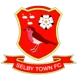 /images/football/team/a6844c1d730e50dc93149e2552d581b9.webp!h80