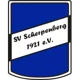 /images/football/team/a931eb97ca8a040ed8aaa826f117285c.webp!h80