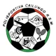 /images/football/team/a959d2066903822c909f3d2e8ecb545e.webp!h80