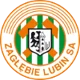 /images/football/team/aa057678b8a87702e2ced765e8b060a1.webp!h80