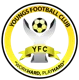 /images/football/team/b55c30baf93523561d0c10a6404d783d.webp!h80