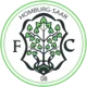 /images/football/team/bc4d1d9e7bb6d053624cd75df753a550.webp!h80