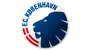 /images/football/team/bda95f6c82c0522c278a4b4a1c4981bf.webp!h50