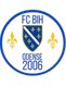 BiH Odense