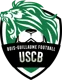/images/football/team/c49c3e155df89d47e353d7e548589f3f.webp!h80