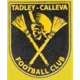 /images/football/team/c5d3a5a9cfd513cc0c8ea3f1adf107df.webp!h80