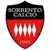 /images/football/team/c7b4bb942f0b5d4860d4319772182765.webp!h50