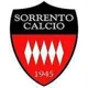 /images/football/team/c7b4bb942f0b5d4860d4319772182765.webp!h80