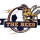 /images/football/team/cfb70c65c2d90640b461deccc43587a4.webp!h80