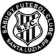 /images/football/team/d050d58dabe0093c78b886c3c6fe6fef.webp!h80