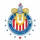 /images/football/team/d1c3948a90828dda54f5746053f1dfbc.webp!h80