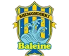/images/football/team/d31926cf1d9d35e80423d01b2d8066b6.webp!h80
