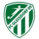 /images/football/team/d3e11356966efd8cbd83ac95c87965b8.webp!h80