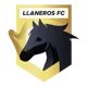 /images/football/team/d635e73886821b923c33503ba3f789df.webp!h80