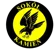 Sokol Kamien