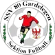 /images/football/team/d7df83fd5da16f6ac789be31f074492e.webp!h80