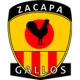 /images/football/team/da02399ebc61ef198fa1653731c5e750.webp!h80