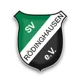 /images/football/team/dc09f7efea792a7f901d312c3898f2d1.webp!h80