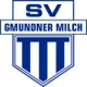 /images/football/team/e001dcba2ff4ec00272afa0fd0003fed.webp!h80