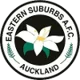 /images/football/team/e46c451a32bb2fe94c3ba8bf41d5b2f0.webp!h80