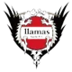 /images/football/team/e4a68f1549c468adbf58506c9a5931b6.webp!h80